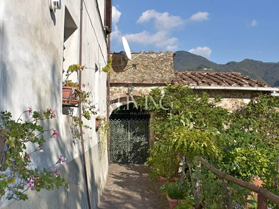 Immagine 28 di Casa colonica in vendita  a Lucca