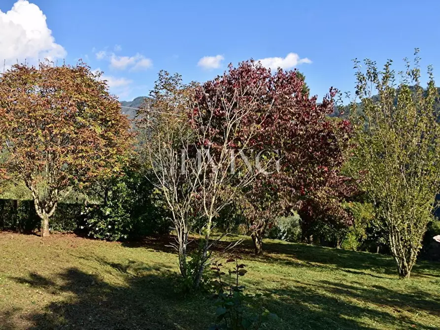 Immagine 26 di Casa colonica in vendita  a Lucca