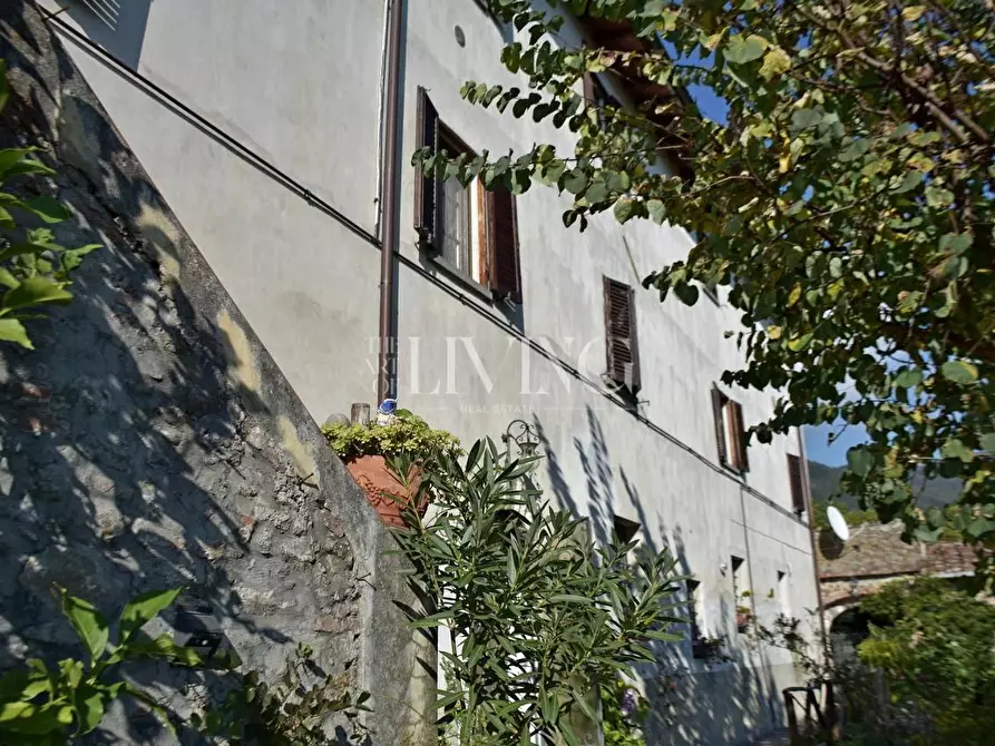 Immagine 4 di Casa colonica in vendita  a Lucca