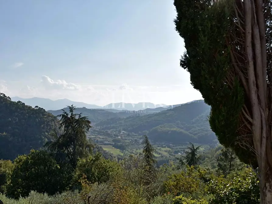 Immagine 24 di Casa colonica in vendita  a Lucca