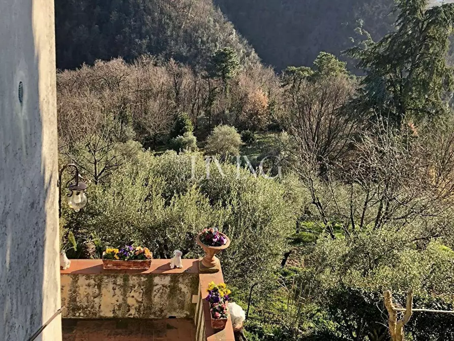 Immagine 17 di Casa colonica in vendita  a Lucca