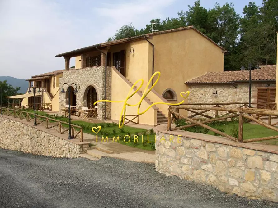 Immagine 5 di Casa colonica in vendita  a Guardistallo