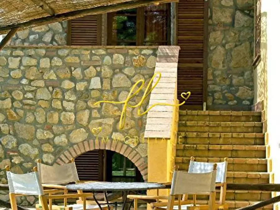 Immagine 4 di Casa colonica in vendita  a Guardistallo