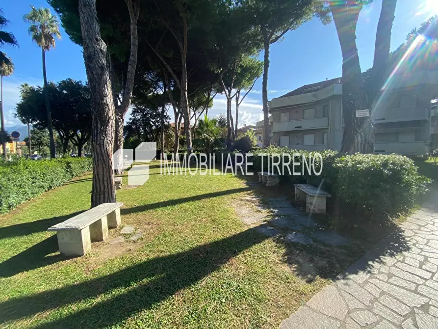 Immagine 10 di Appartamento in vendita  a Massa