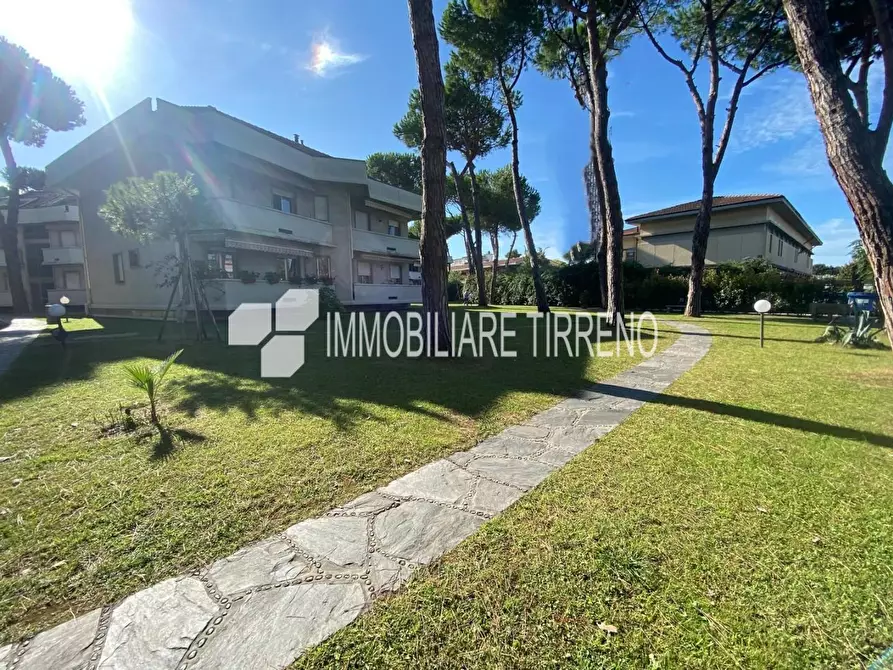 Immagine 9 di Appartamento in vendita  a Massa