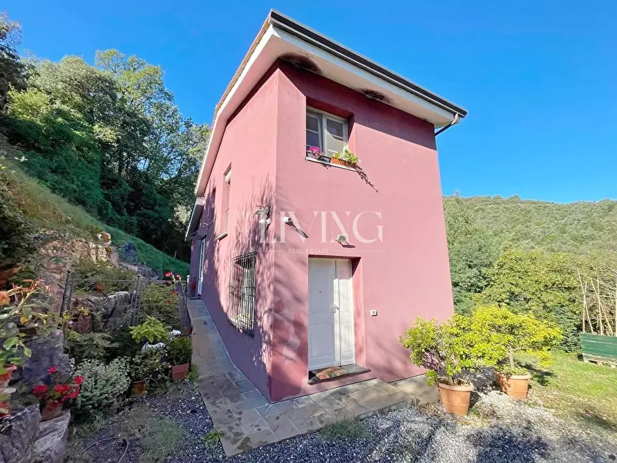 Immagine 48 di Rustico / casale in vendita  a Lucca