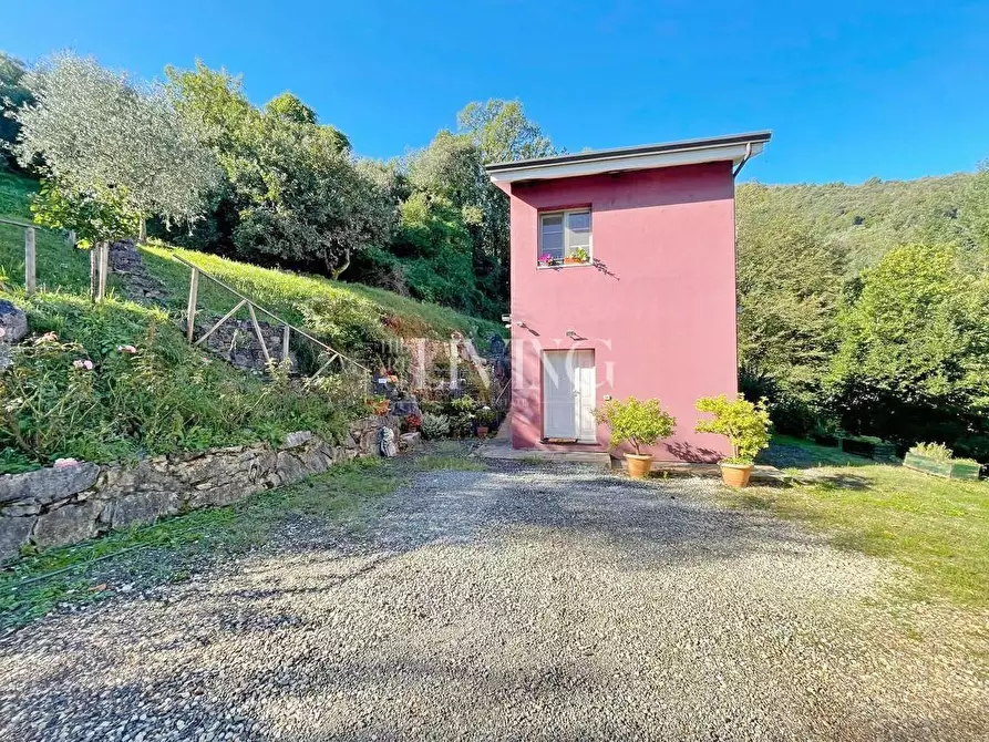 Immagine 50 di Rustico / casale in vendita  a Lucca