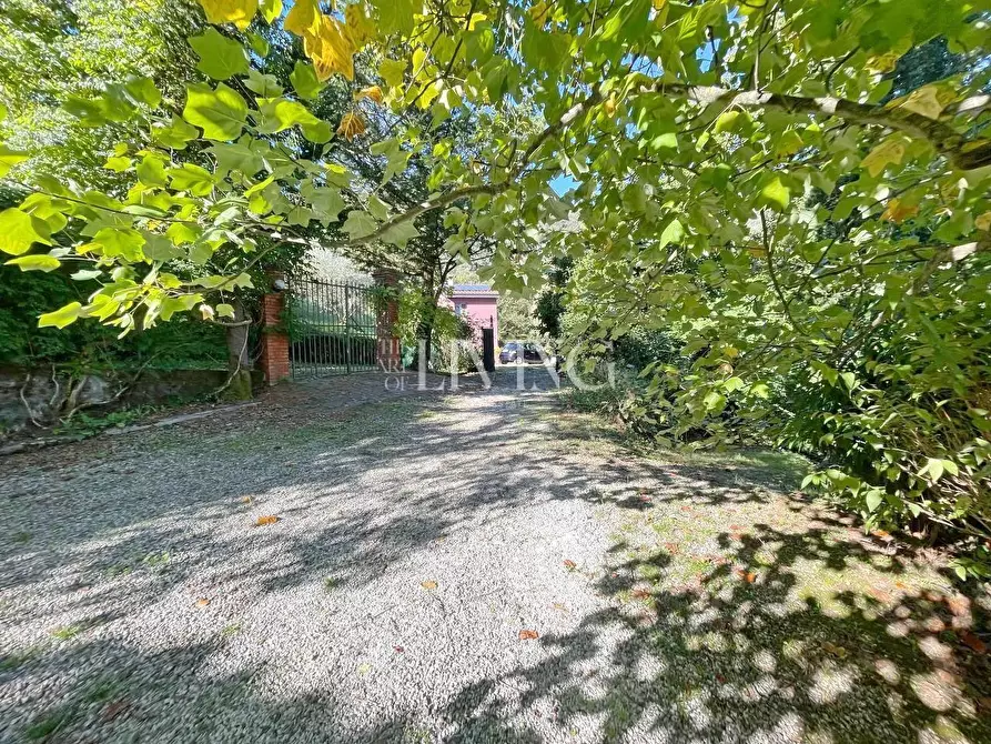 Immagine 46 di Rustico / casale in vendita  a Lucca