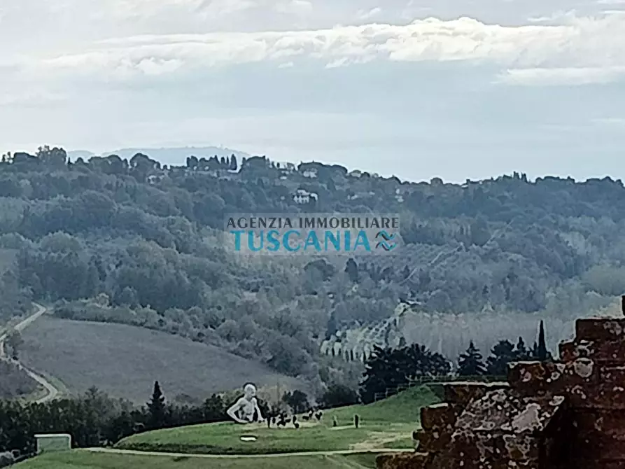 Immagine 22 di Appartamento in vendita  a Peccioli