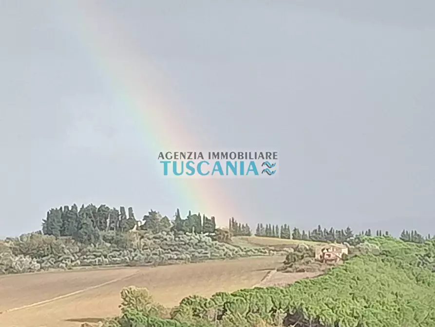 Immagine 20 di Appartamento in vendita  a Peccioli