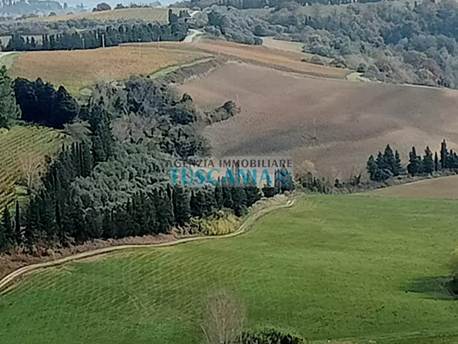 Immagine 21 di Appartamento in vendita  a Peccioli