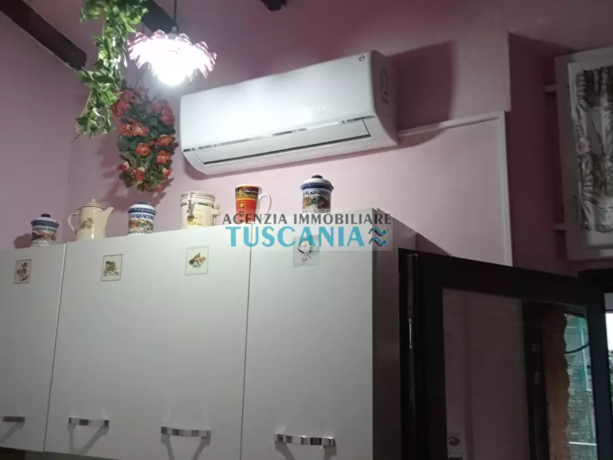 Immagine 3 di Appartamento in vendita  a Peccioli
