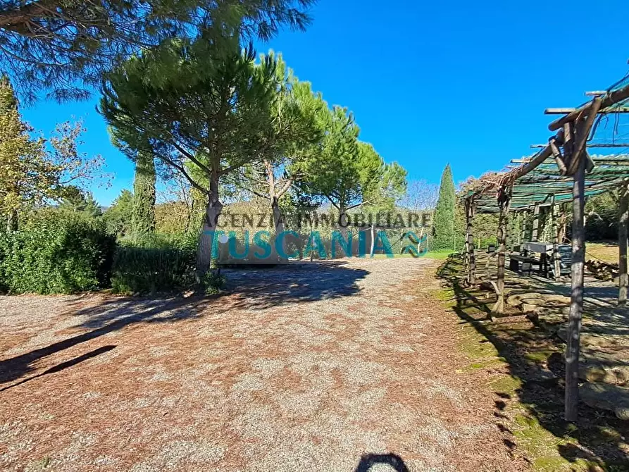 Immagine 13 di Agriturismo in vendita  a Montescudaio