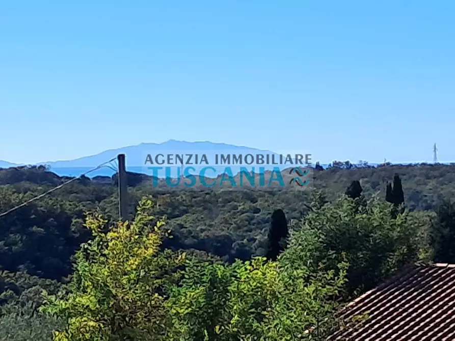 Immagine 7 di Agriturismo in vendita  a Montescudaio