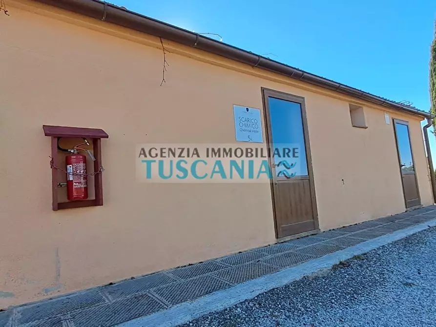 Immagine 8 di Agriturismo in vendita  a Montescudaio