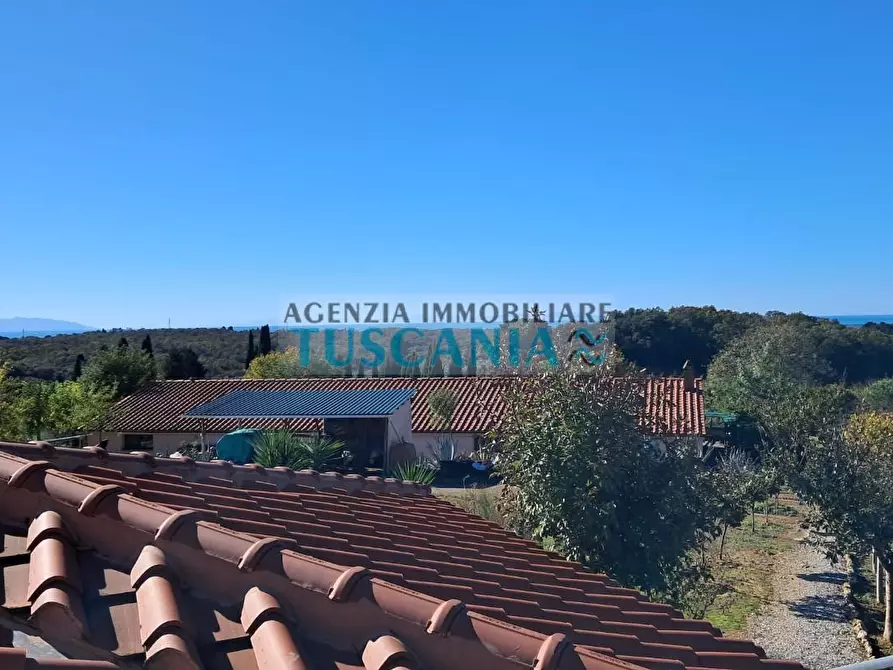 Immagine 3 di Agriturismo in vendita  a Montescudaio