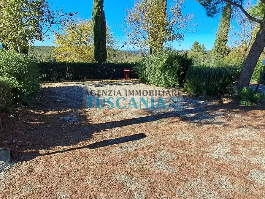 Immagine 15 di Agriturismo in vendita  a Montescudaio