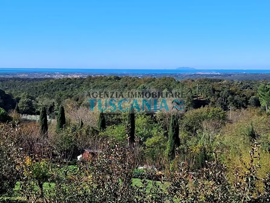 Immagine 6 di Agriturismo in vendita  a Montescudaio