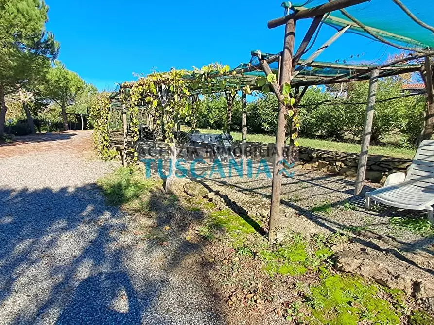 Immagine 10 di Agriturismo in vendita  a Montescudaio