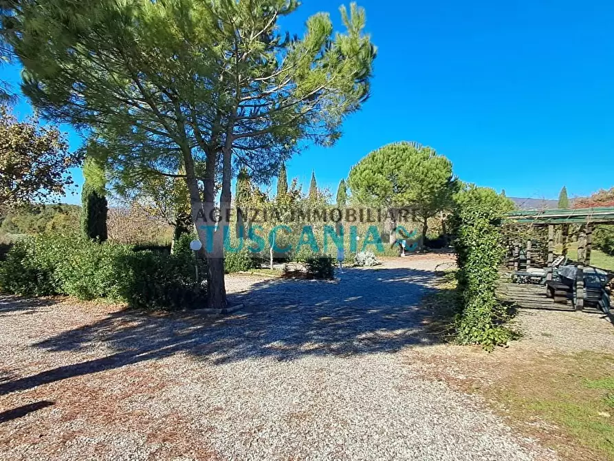 Immagine 12 di Agriturismo in vendita  a Montescudaio