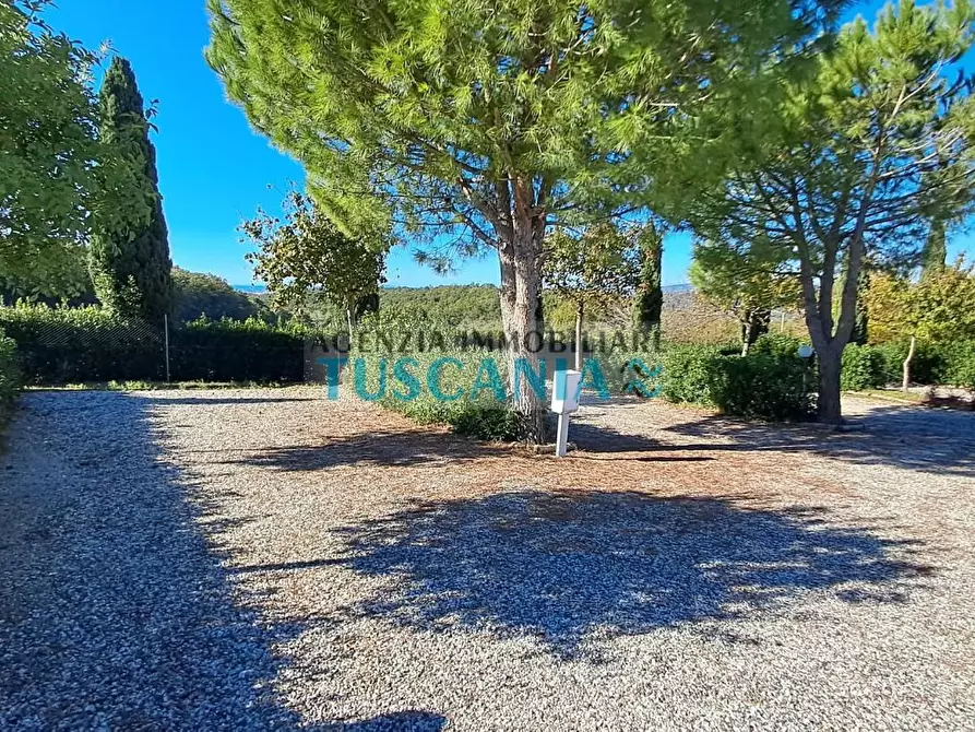 Immagine 14 di Agriturismo in vendita  a Montescudaio