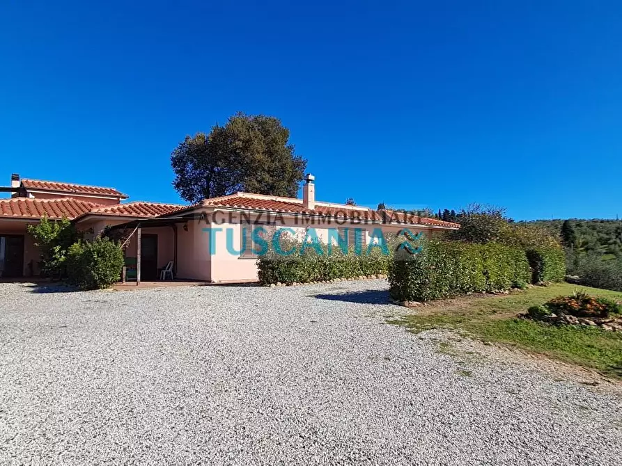 Immagine 2 di Agriturismo in vendita  a Montescudaio