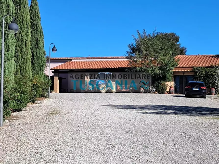 Immagine 4 di Agriturismo in vendita  a Montescudaio