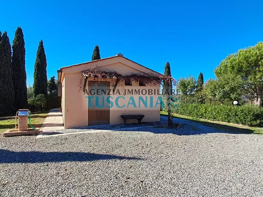 Immagine 9 di Agriturismo in vendita  a Montescudaio