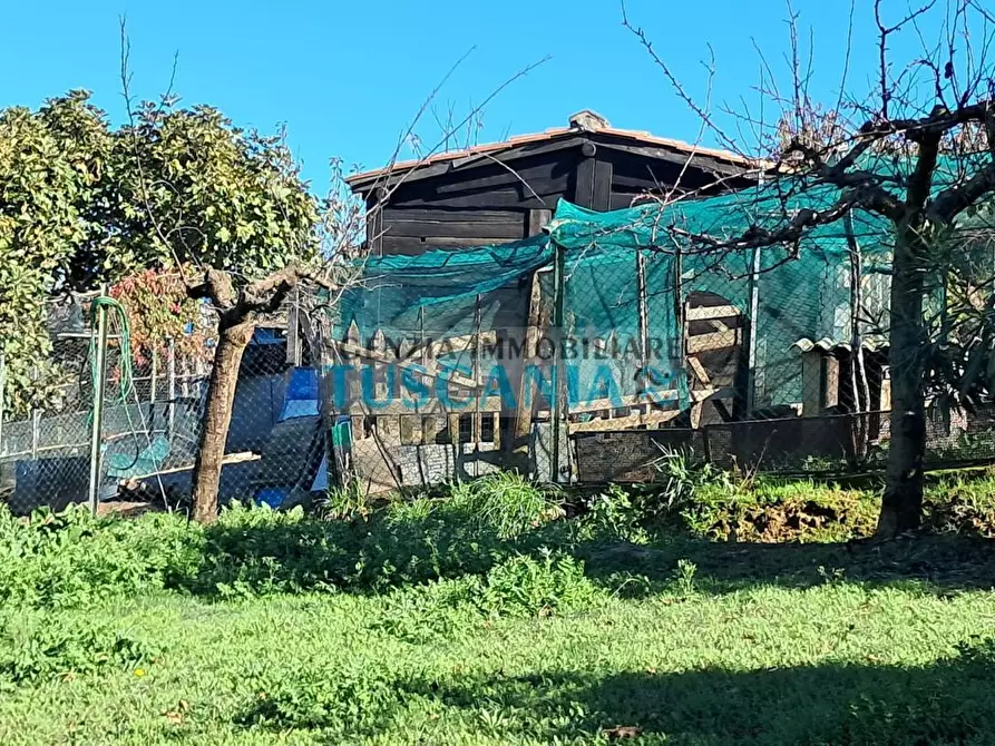 Immagine 19 di Agriturismo in vendita  a Montescudaio
