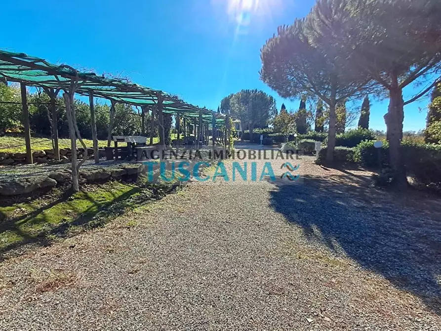 Immagine 17 di Agriturismo in vendita  a Montescudaio