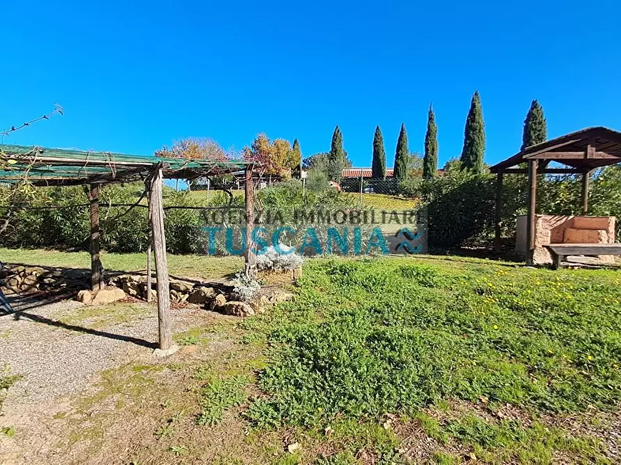 Immagine 11 di Agriturismo in vendita  a Montescudaio