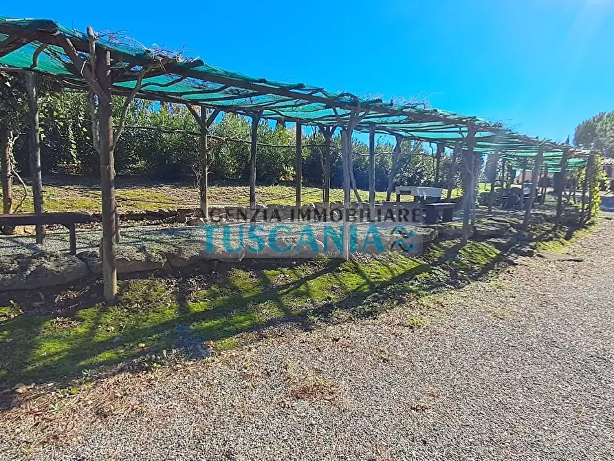 Immagine 16 di Agriturismo in vendita  a Montescudaio
