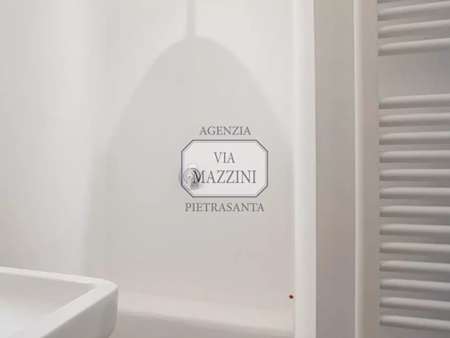 Immagine 46 di Loft/Open space in vendita  a Pietrasanta