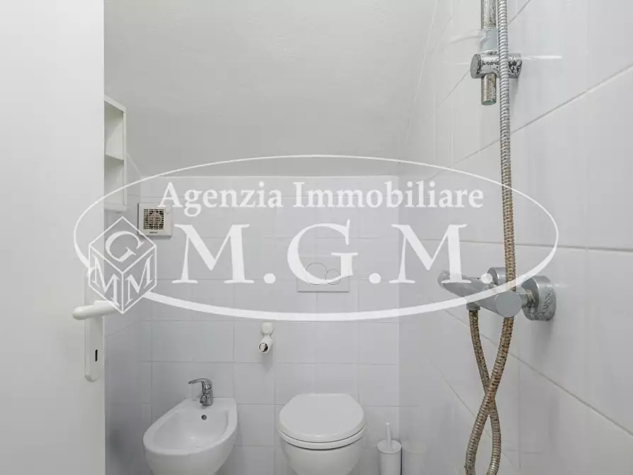 Immagine 51 di Villa in vendita  a Bientina