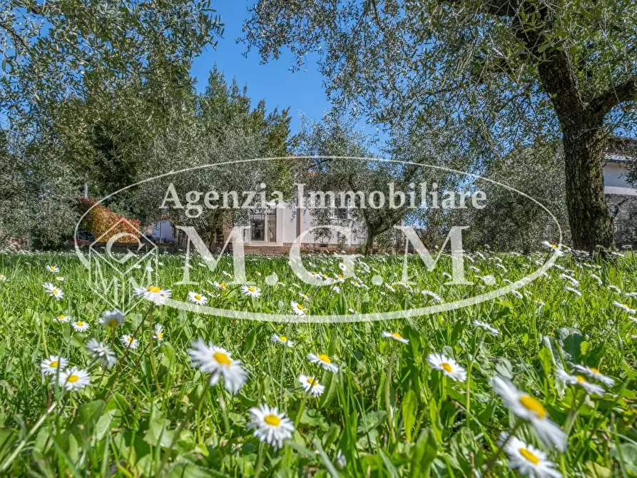 Immagine 50 di Villa in vendita  a Bientina