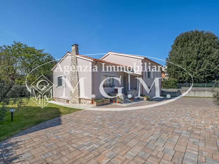 Immagine 4 di Villa in vendita  a Bientina