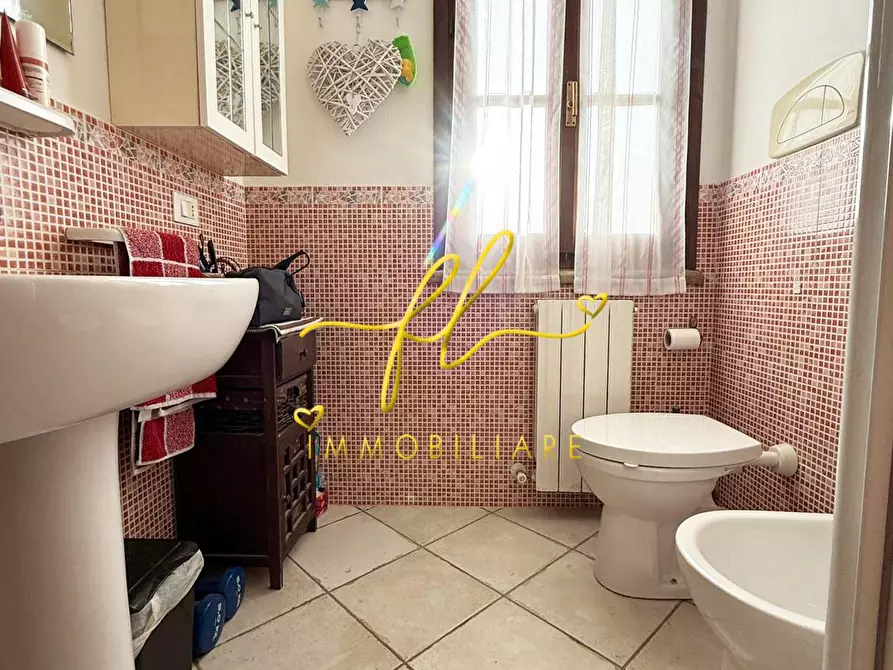 Immagine 18 di Appartamento in vendita  a Cecina