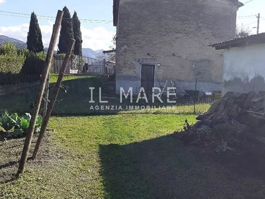 Immagine 17 di Casa colonica in vendita  a Massa