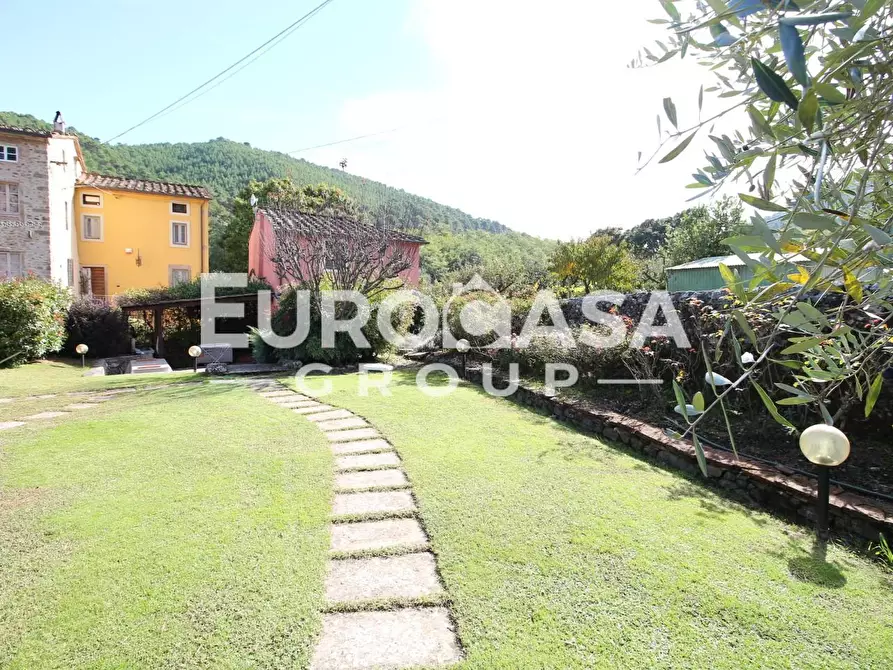 Immagine 4 di Villa in vendita  a Capannori