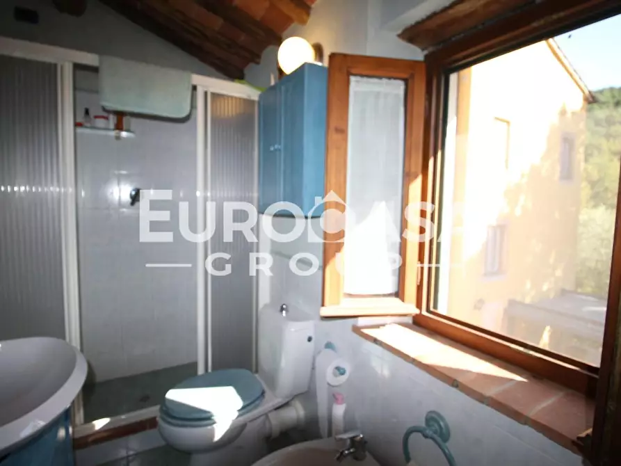 Immagine 9 di Villa in vendita  a Capannori