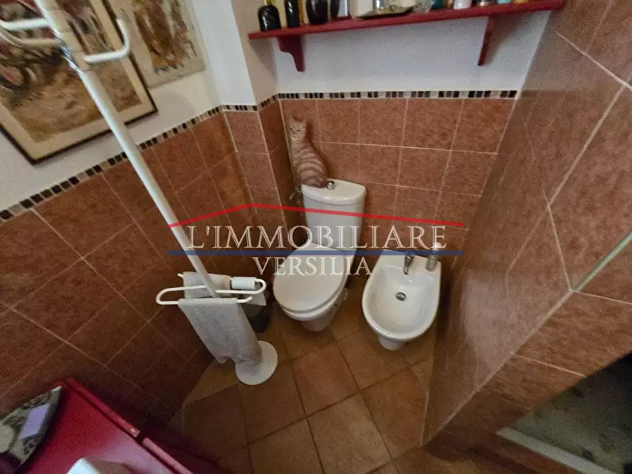 Immagine 45 di Casa indipendente in vendita  a Massa