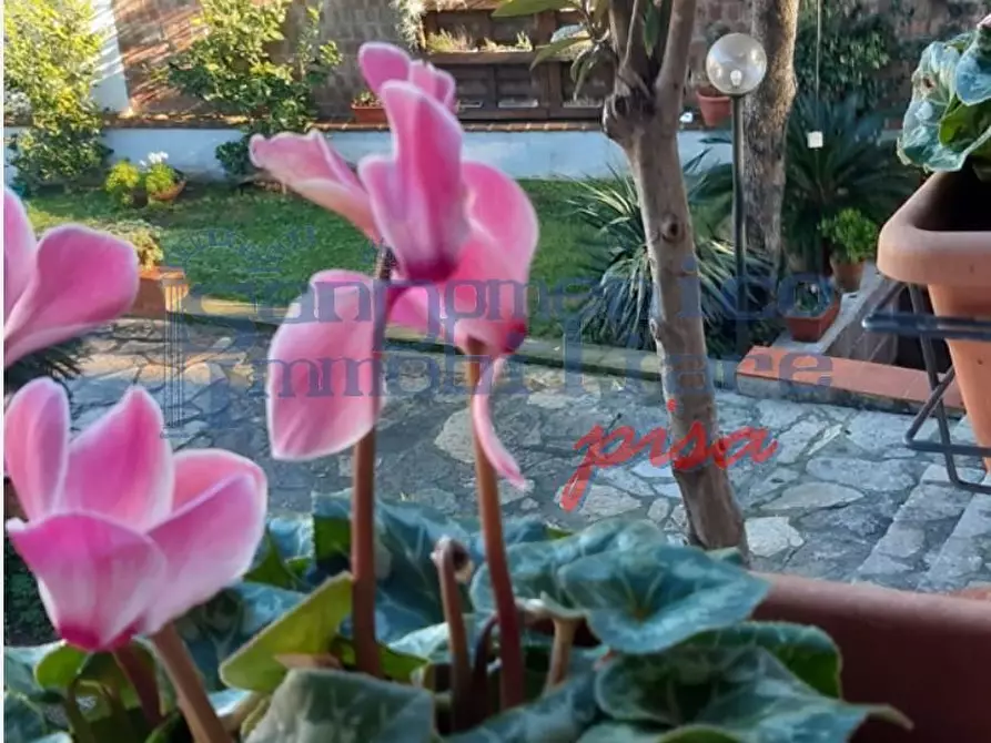 Immagine 9 di Casa quadrifamiliare in vendita  a Pisa