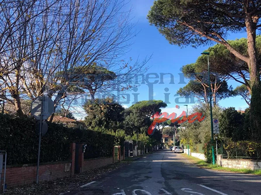 Immagine 11 di Casa quadrifamiliare in vendita  a Pisa