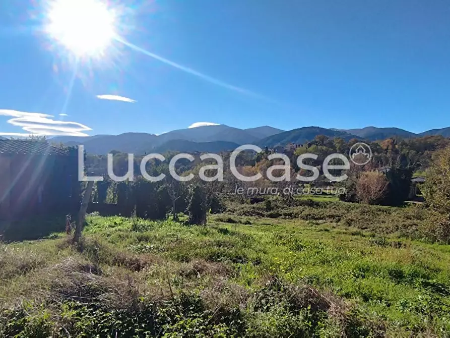 Immagine 4 di Rustico / casale in vendita  a Capannori