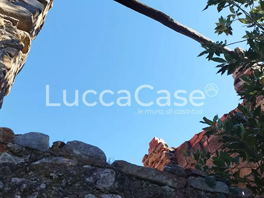 Immagine 9 di Rustico / casale in vendita  a Capannori