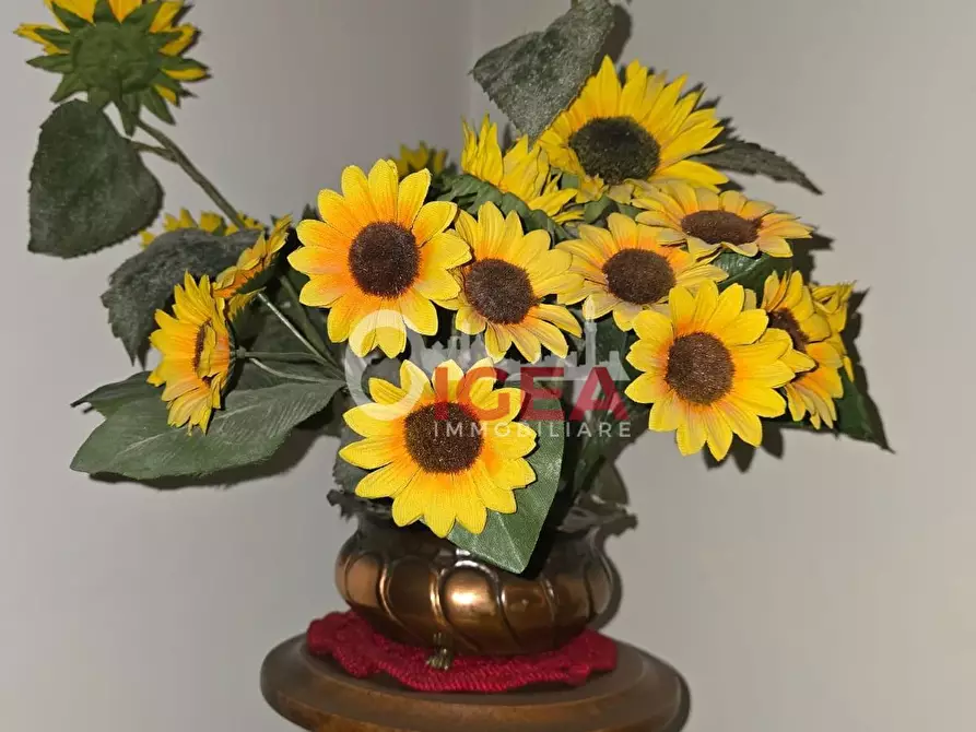 Immagine 26 di Appartamento in vendita  a Colle Di Val D'elsa