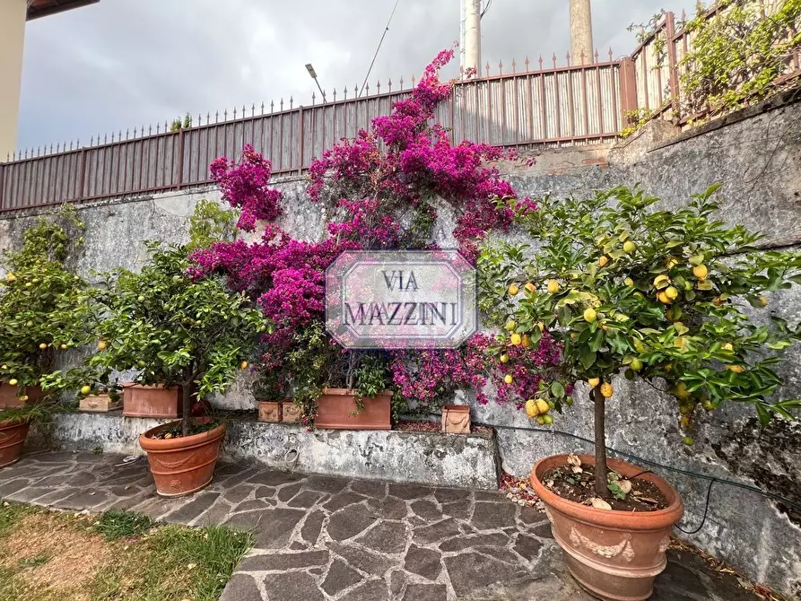 Immagine 6 di Casa bifamiliare in vendita  a Pietrasanta