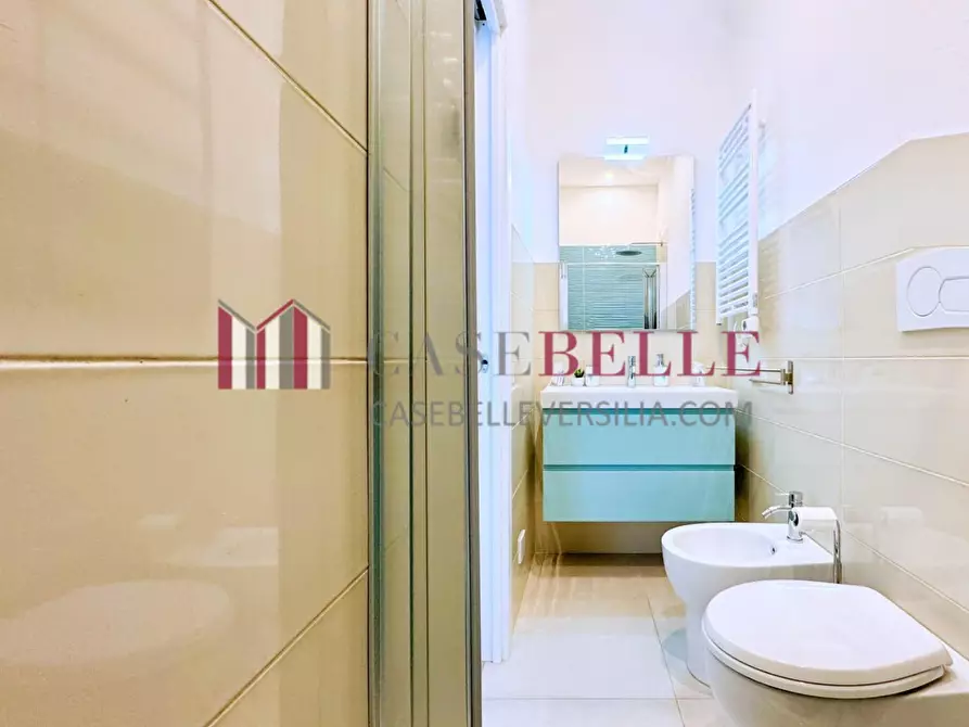 Immagine 24 di Appartamento in affitto  a Pietrasanta