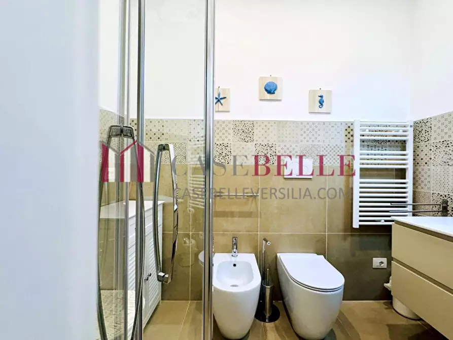 Immagine 15 di Appartamento in affitto  a Pietrasanta