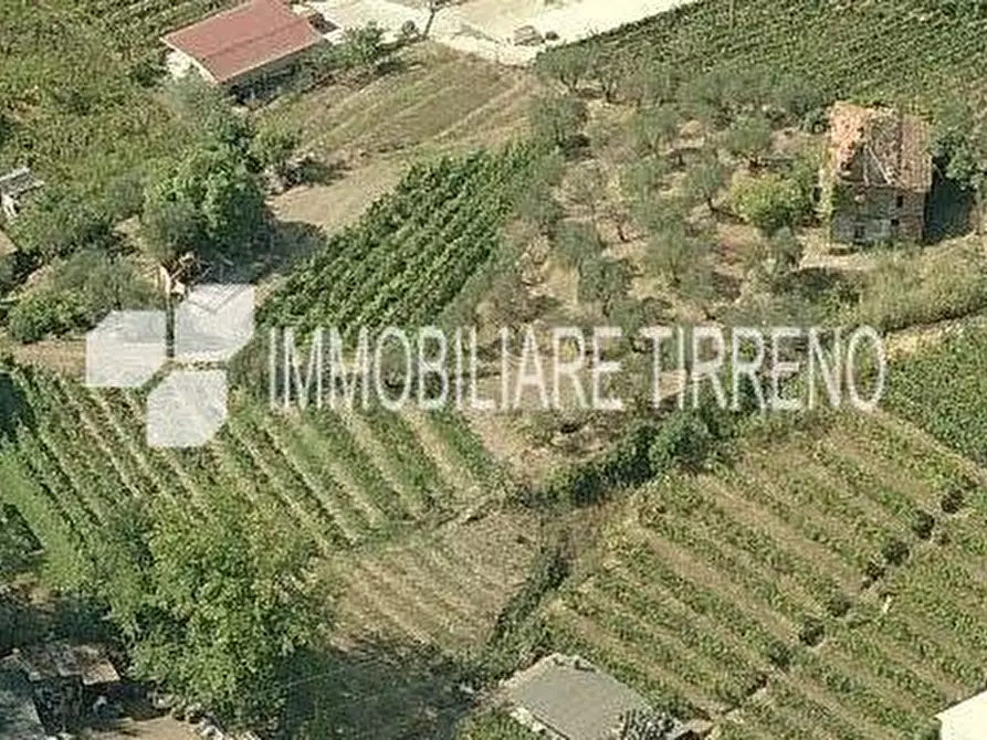 Immagine 2 di Terreno residenziale in vendita  a Massa